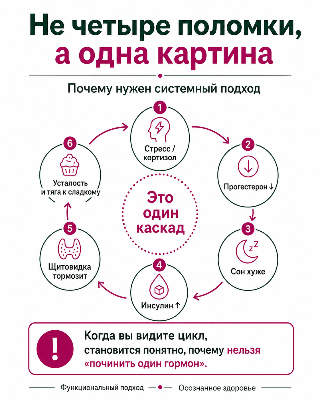 Не четыре поломки, а одна картина — гормональный каскад